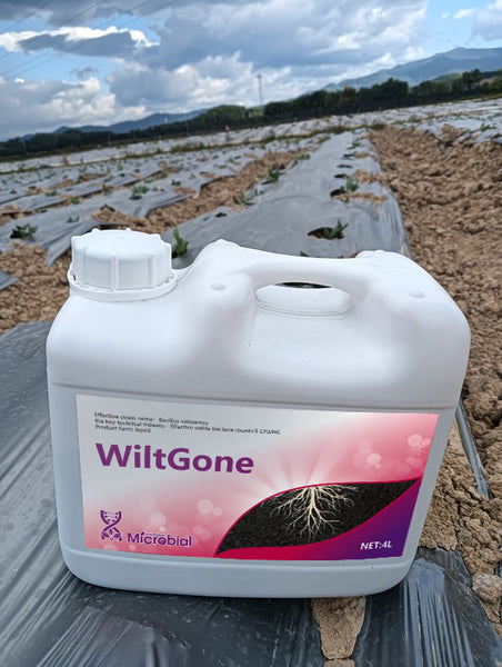 WiltGone Fungicides for agricultural use Concentrate Fungicide Use on Plants