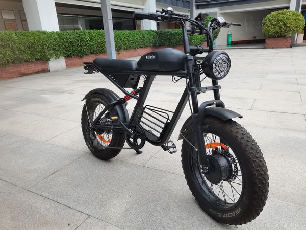 Fliwin Motorized bicycles Electric Fat Tire Bicycle - 500W Motor, 48V Removable Battery, All-Terrain, for Adults, 20 Inch Wheels