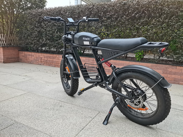 Fliwin Motorized bicycles Electric Fat Tire Bicycle - 500W Motor, 48V Removable Battery, All-Terrain, for Adults, 20 Inch Wheels