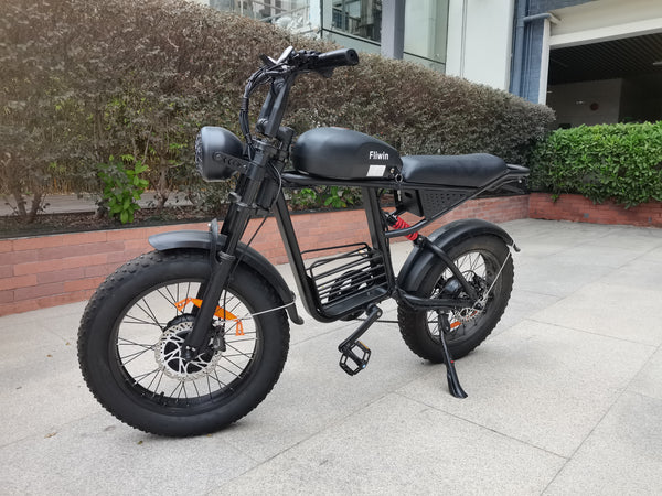 Fliwin Motorized bicycles Electric Fat Tire Bicycle - 500W Motor, 48V Removable Battery, All-Terrain, for Adults, 20 Inch Wheels