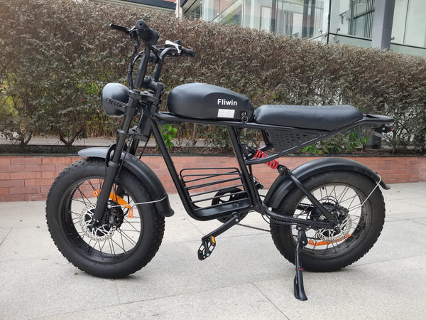 Fliwin Motorized bicycles Electric Fat Tire Bicycle - 500W Motor, 48V Removable Battery, All-Terrain, for Adults, 20 Inch Wheels