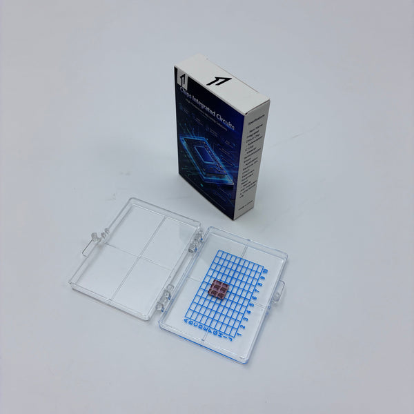chips [integrated circuits] Integrated circuit chip, semiconductor IC bare chip, with transparent storage box