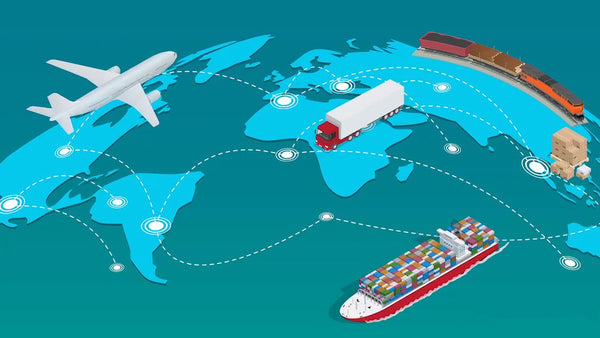 NOVEASE Import and export agencies
