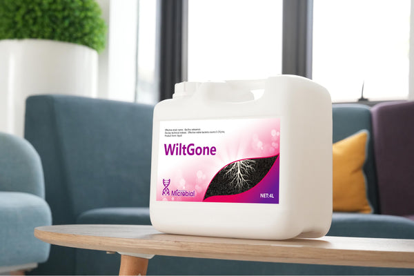 WiltGone Fungicides for agricultural use Concentrate Fungicide Use on Plants