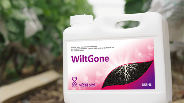 WiltGone Fungicides for agricultural use Concentrate Fungicide Use on Plants