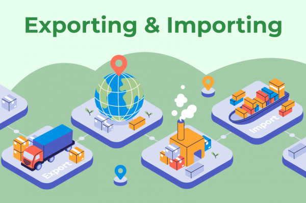 NOVEASE Import and export agencies