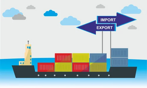 BKT import-export agency services