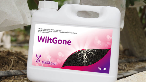 WiltGone Fungicides for agricultural use Concentrate Fungicide Use on Plants