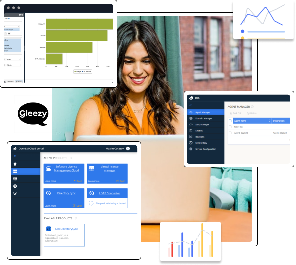 gleezy consultancy relating to computer software licensing