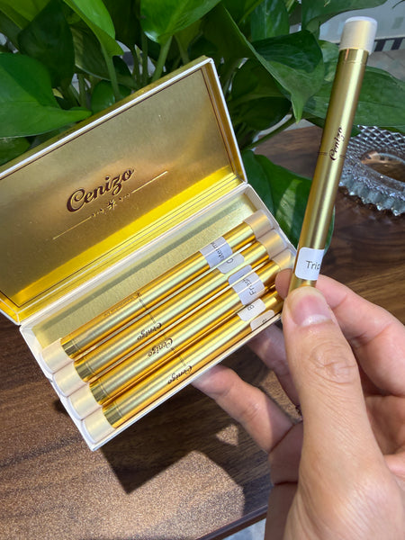 CENIZO Electric cigarettes [electronic cigarettes] Rechargeable electronic cigarette starter kit, with an integrated design, portable and easy to use