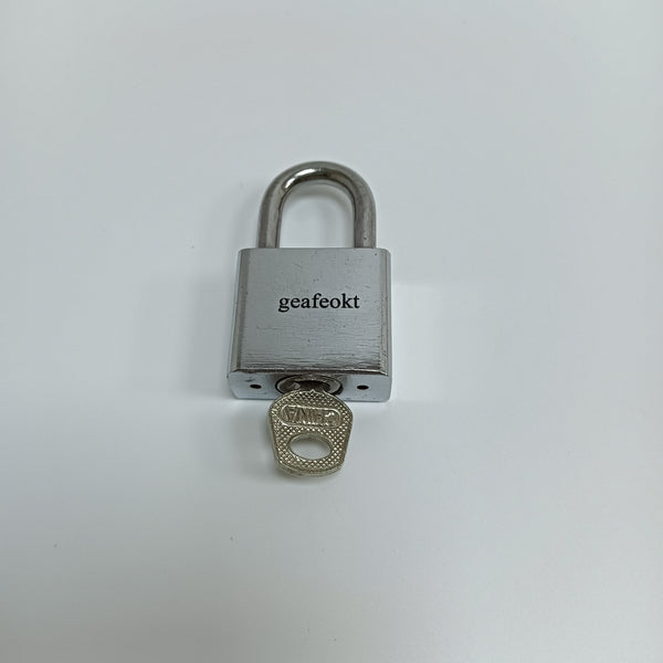 geafeokt Metal locks Metal Padlock with Keys for Toolboxes, Lockers, Gates, Cabinets, Silver