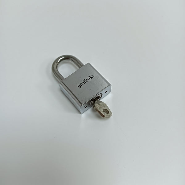 geafeokt Metal locks Metal Padlock with Keys for Toolboxes, Lockers, Gates, Cabinets, Silver
