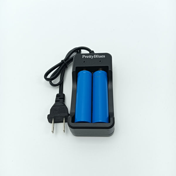 PrettyBlues Batteries and battery chargers 2-Slot Rechargeable Battery Charging Station with Power Cord, Black