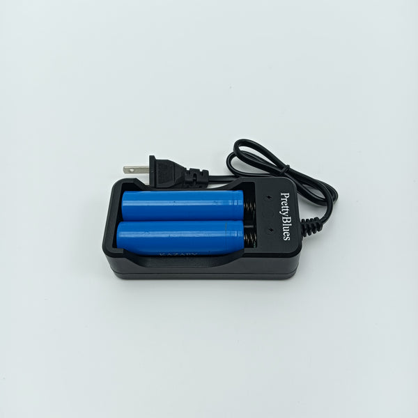 PrettyBlues Batteries and battery chargers 2-Slot Rechargeable Battery Charging Station with Power Cord, Black