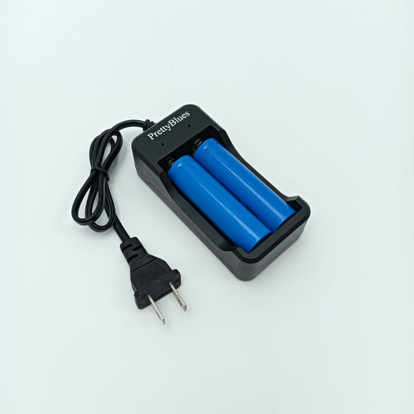 PrettyBlues Batteries and battery chargers 2-Slot Rechargeable Battery Charging Station with Power Cord, Black
