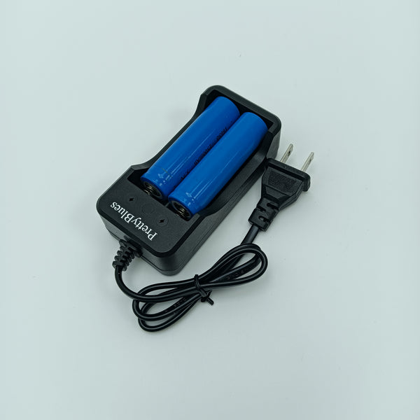PrettyBlues Batteries and battery chargers 2-Slot Rechargeable Battery Charging Station with Power Cord, Black