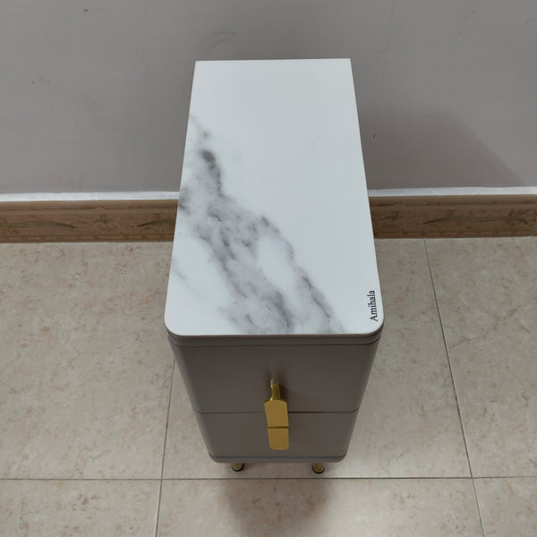 Amihala Nightstands 2 Drawer Nightstands with Metal Legs, Modern Style