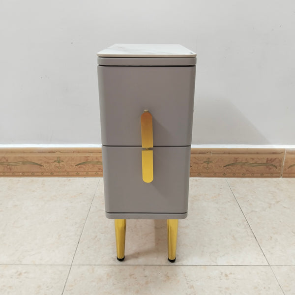 Amihala Nightstands 2 Drawer Nightstands with Metal Legs, Modern Style