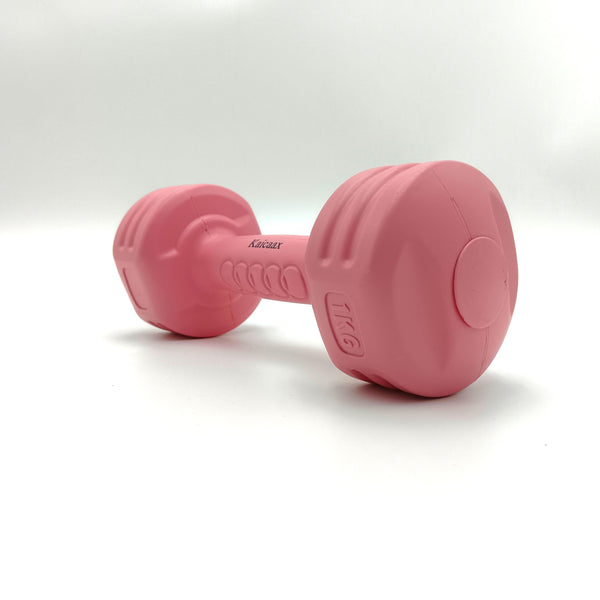 Kaicaax Dumbbells 1kg pink dumbbells, home fitness equipment