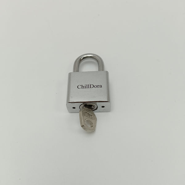 ChillDora Metal locksets Compact Metal Padlock with Keys for Cabinets and Furniture, Silver