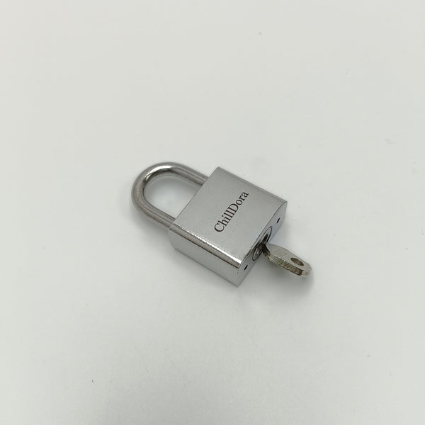 ChillDora Metal locksets Compact Metal Padlock with Keys for Cabinets and Furniture, Silver