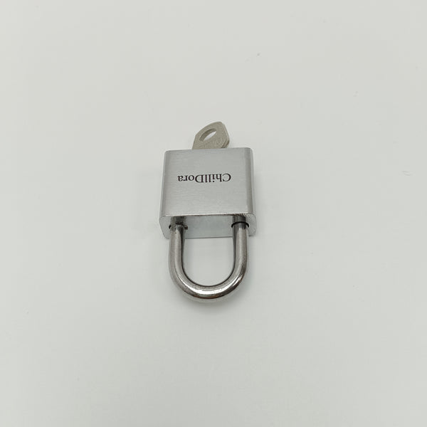ChillDora Metal locksets Compact Metal Padlock with Keys for Cabinets and Furniture, Silver