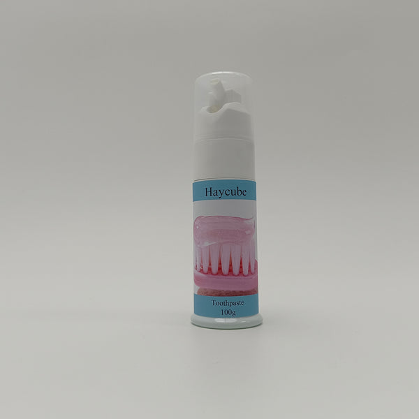 Haycube Toothpastes Mint Flavor Toothpaste for Home and Travel, 100g Pump Dispenser
