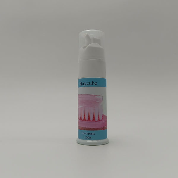 Haycube Toothpastes Mint Flavor Toothpaste for Home and Travel, 100g Pump Dispenser
