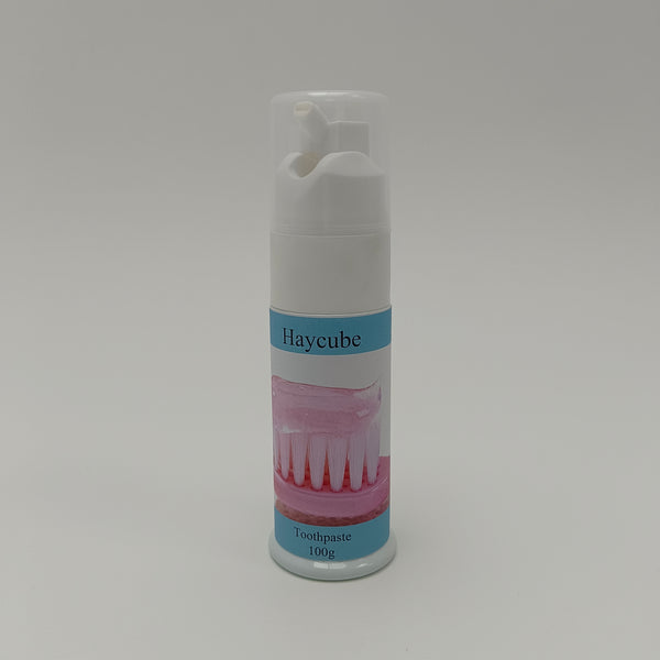 Haycube Toothpastes Mint Flavor Toothpaste for Home and Travel, 100g Pump Dispenser