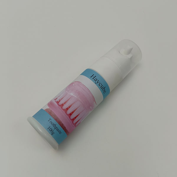 Haycube Toothpastes Mint Flavor Toothpaste for Home and Travel, 100g Pump Dispenser