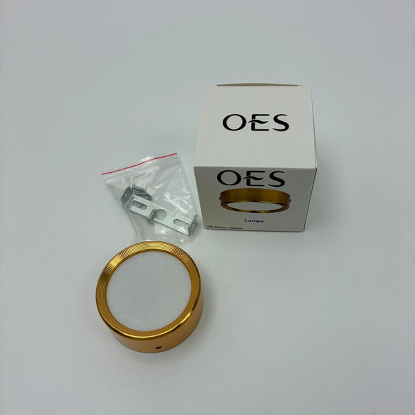 OES Lamps 5W LED ceiling light, surface mount ceiling light, gold flush mount light, modern round ceiling lamp