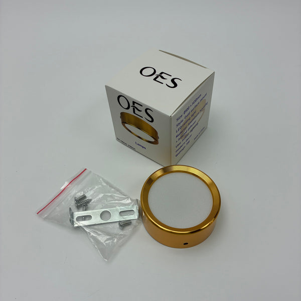OES Lamps 5W LED ceiling light, surface mount ceiling light, gold flush mount light, modern round ceiling lamp