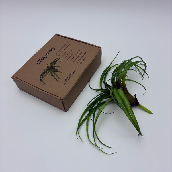 Elkaysenly Artificial plants, other than Christmas trees PE Plastic Silk Greenery for Home Decor, Office Desk, Bathroom, Table Centerpiece